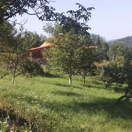 Luxury tent Camp Panorama